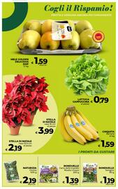 Volantino Coop Radenza Pagina 15