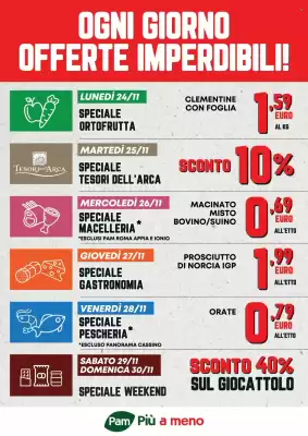 Volantino Pam (valido fino al 30-11)