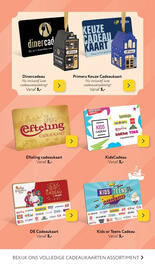 Primera folder Pagina 4