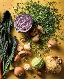 Ekoplaza magazine Pagina 23