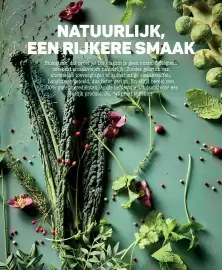 Ekoplaza magazine Pagina 8