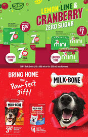 Giant Tiger flyer week 48 Page 21