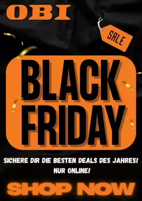 OBI Flugblatt (gültig bis 2-12)
