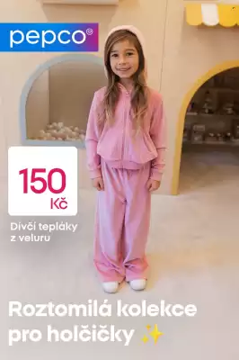 Pepco leták (platné do 2-12)