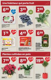 Rachelle-Bery Grocery flyer week 48 Page 3