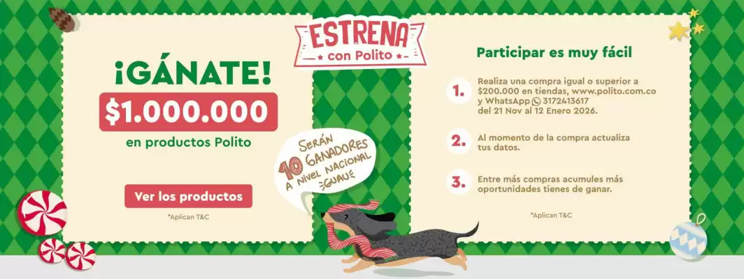 Catálogo Polito (válido hasta 12-12)