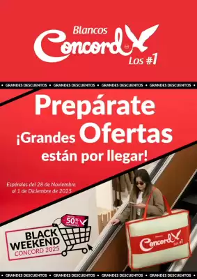 Catálogo Colchas Concord (válido hasta 29-11)