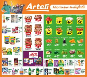 Folleto Arteli Página 3