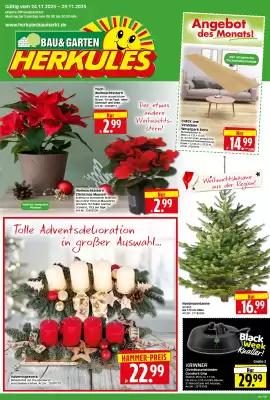Herkules Baumarkt Prospekt (gültig bis 29-11)