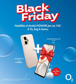 Albert leták Strana 13