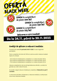 Catalog TEDI săptămâna 48 Pagină 2