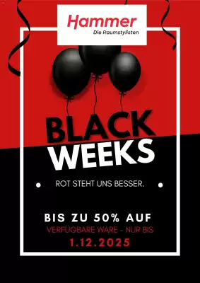 Hammer Prospekt (gültig bis 1-12)