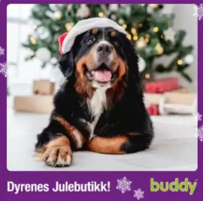 Buddy kundeavis (gyldig til 7-12)
