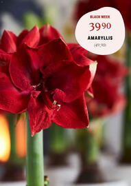 Blomsterlandet reklamblad vecka 48 Sida 2