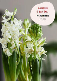 Blomsterlandet reklamblad vecka 48 Sida 3