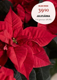 Blomsterlandet reklamblad vecka 48 Sida 4