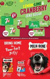 Giant Tiger flyer week 48 Page 21