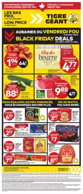 Giant Tiger flyer (valid until 4-12)