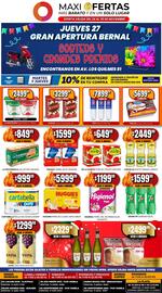Catálogo Maxi Ofertas semana 48 Página 1