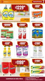 Catálogo Maxi Ofertas semana 48 Página 7