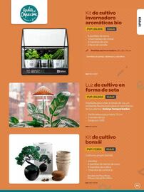 Catálogo Dideco Página 85