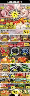 Lococo's flyer (valid until 2-12)