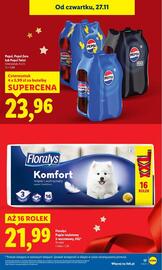 Lidl gazetka Strona 17