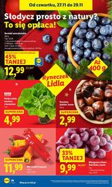 Lidl gazetka Strona 20