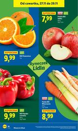 Lidl gazetka Strona 22