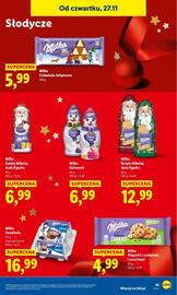 Lidl gazetka Strona 41