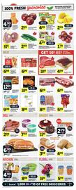 IGA flyer Page 3