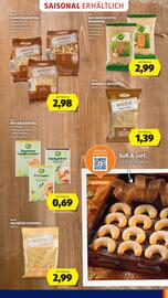 Hofer Flugblatt woche 48 Seite 23