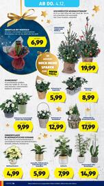 Hofer Flugblatt woche 48 Seite 50