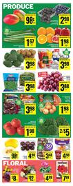 FreshCo flyer week 48 Page 7