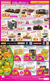 Catalogue Norma semaine 49 page 10