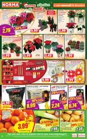 Catalogue Norma semaine 49 page 4