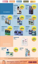 Folleto Clarel Página 13