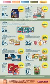 Folleto Clarel Página 17