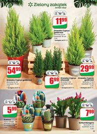 Dino gazetka tydzień 48 Strona 59