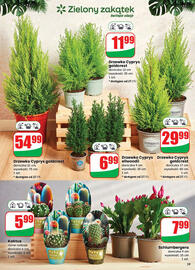 Dino gazetka tydzień 48 Strona 59