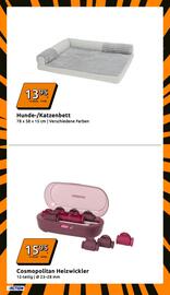 Action Flugblatt woche 48 Seite 17