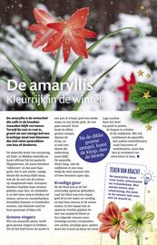 Ditjes en datjes folder Pagina 39