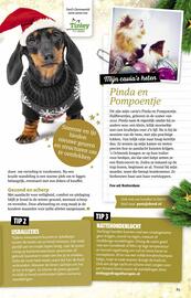 Ditjes en datjes folder Pagina 83