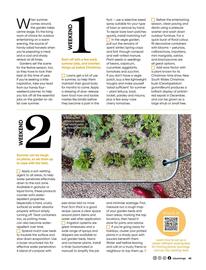 Bunnings catalogue Page 45