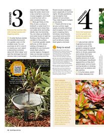 Bunnings catalogue Page 46