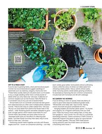 Bunnings catalogue Page 49