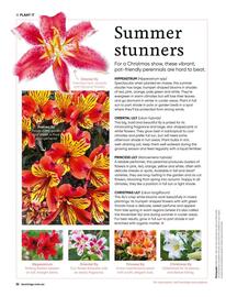 Bunnings catalogue Page 52