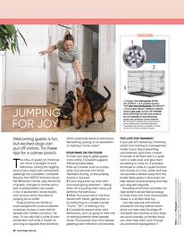 Bunnings catalogue Page 62