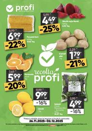 Catalog PROFI săptămâna 48 Pagină 1