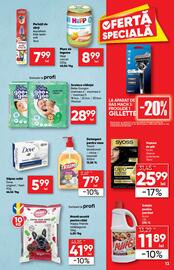 Catalog PROFI Pagină 13